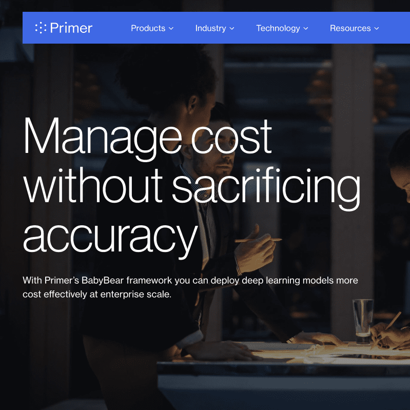 AI Cost Optimization PrimerAI